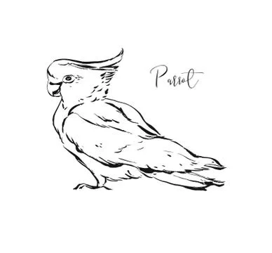 Hand drawn vector abstract artistic ink textured graphic sketch drawing Stockillustratie