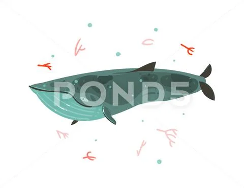 Hand drawn vector abstract cartoon graphic summer time underwater illustrations Stock Illustration