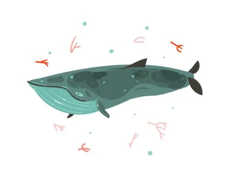 Hand drawn vector abstract cartoon graphic summer time underwater illustrations Stock Illustration