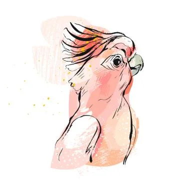 Hand drawn vector abstract creative collage tropical parrot illustration with Stock Illustration