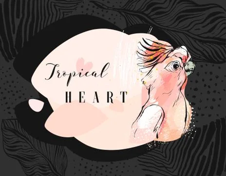 Hand drawn vector abstract creative tropical parrot collage with freehand Stockillustratie