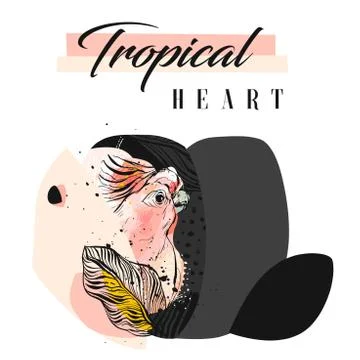 Hand drawn vector abstract creative tropical parrot collage with freehand イラスト素材