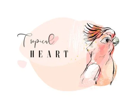 Hand drawn vector abstract creative tropical parrot collage with freehand 库存插图