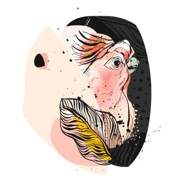 Hand drawn vector abstract creative collage tropical parrot illustration with Stock Illustration
