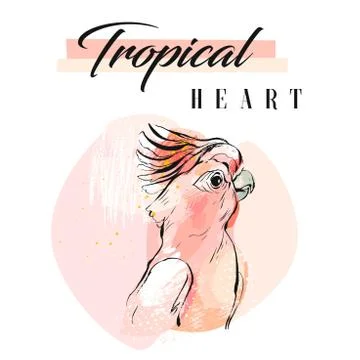 Hand drawn vector abstract creative tropical parrot collage with freehand イラスト素材