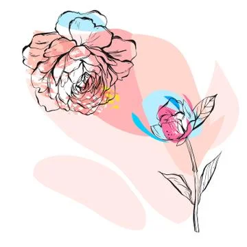 Hand drawn vector abstract creative unusual illustration with graphic peony Stock Illustration