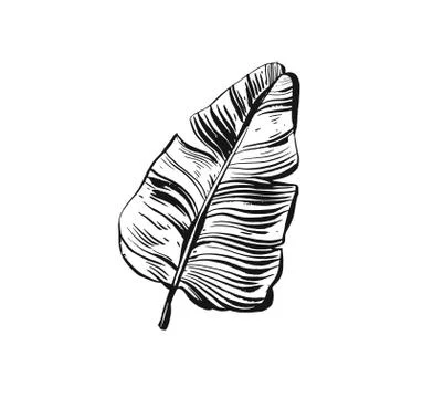 Hand drawn vector abstract freehand textured tropical print icon with organic Stock Illustration