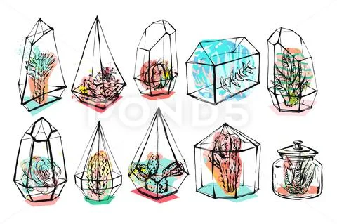 Hand drawn vector abstract graphic creative succulent,cactus and plants in Stock Illustration