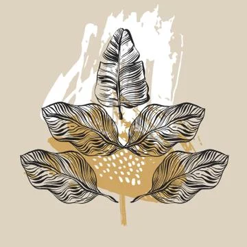 Hand drawn vector abstract graphic tropical xmas mirror print with palm leaves 库存插图