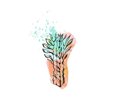 Hand drawn vector abstract graphic drawing succulent plant with freehand texture Ilustración de archivo