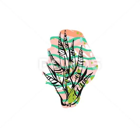 Hand drawn vector abstract graphic drawing aloe vera plant with freehand texture Stock Illustration