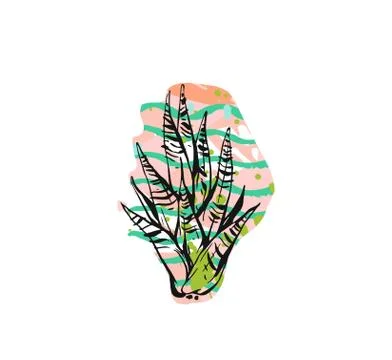 Hand drawn vector abstract graphic drawing aloe vera plant with freehand texture Ilustración de archivo