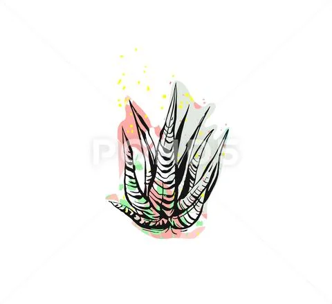 Hand drawn vector abstract graphic drawing aloe vera plant with freehand texture Stock Illustration