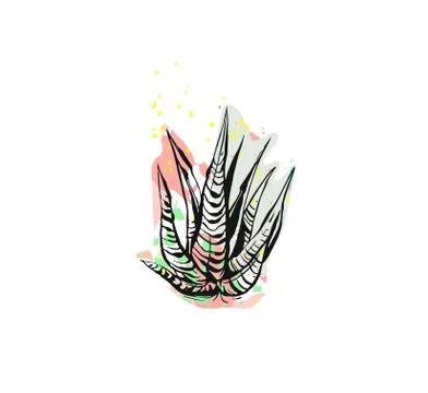 Hand drawn vector abstract graphic drawing aloe vera plant with freehand texture Ilustración de archivo