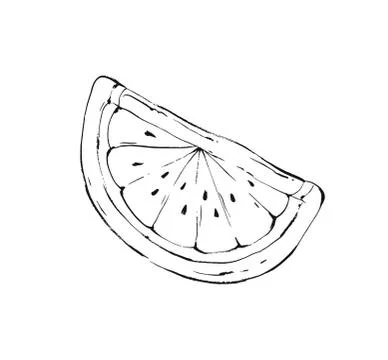 Hand drawn vector abstract graphic summer time ink drawing sketch of watermelon Illustrazione stock