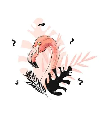 Hand drawn vector abstract graphic freehand textured sketch pink flamingo and イラスト素材