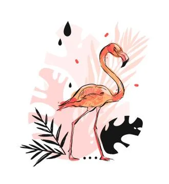 Hand drawn vector abstract graphic freehand textured sketch pink flamingo and イラスト素材