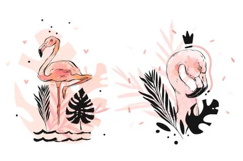 Hand drawn vector abstract graphic freehand textured sketch pink flamingo and Stock-Illustration