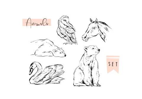 Hand drawn vector abstract graphic animals set collection of swan,polar bear Stock Illustration
