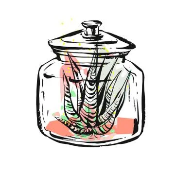 Hand drawn vector abstract illustration with succulent plant in glass jar in Stock Illustration