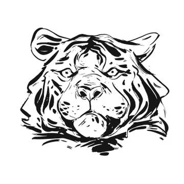Hand drawn vector abstract ink graphic rough tiger head illustration isolated on 스톡 일러스트