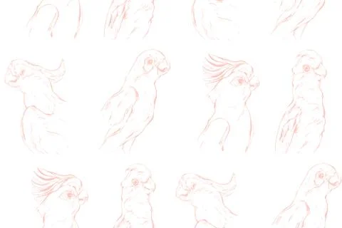 Hand drawn vector abstract textured graphic seamless pattern with exotic Illustrazione stock