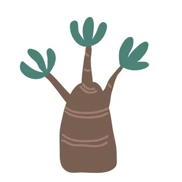 Hand drawn vector adenium or bottle tree icon. Doodle Scandinavian style Stock Illustration