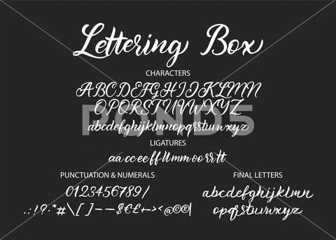 Hand drawn vector alphabet with letters, numbers, symbols.: Graphic ...