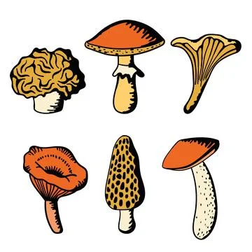 Hand-drawn vector art of six mushrooms, exuding a rustic and whimsical allure. Stock Illustration
