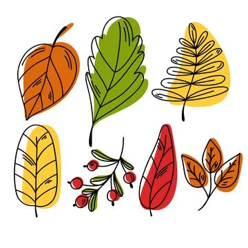 Hand drawn vector autumn leaves set. Stock Illustration