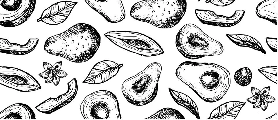 Hand drawn vector avocado pattern or background, sketch outline Illustrazione stock
