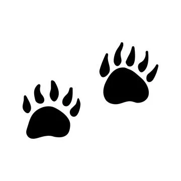 Hand drawn vector bear trail clipart. Isolated on white backgrou Stock Illustration