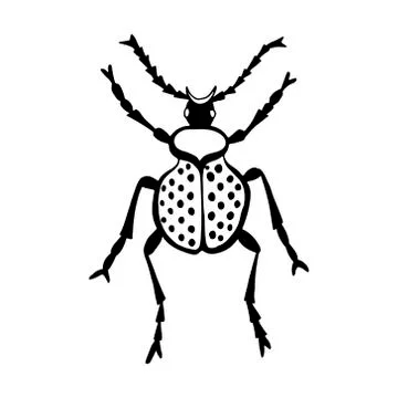Hand drawn vector beetles. Black and white insects for design, icons, logo or Stock Illustration