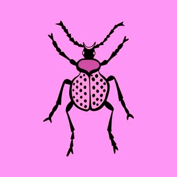 Hand drawn vector beetles. Black and white insects for design, icons, logo or Stock Illustration