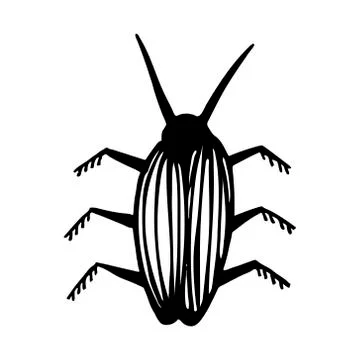 Hand drawn vector beetles. Black and white insects for design, icons, logo or Stock Illustration