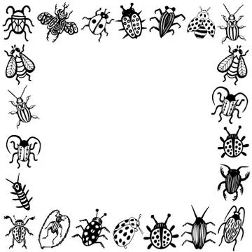 Hand drawn vector beetles set. Black and white insects for design, icons, log Stock Illustration