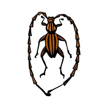 Hand drawn vector beetles set. Black and white insects for design, icons, log Stock Illustration