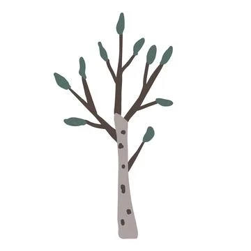 Hand drawn vector birch tree icon. Doodle Scandinavian style illustration Stock Illustration