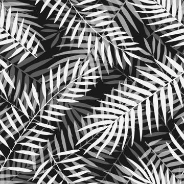 Hand drawn vector Black and white palm leaves seamless pattern Illustration