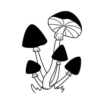 Hand drawn vector black and white wild forest mushrooms on grass. Autumn bota Stock Illustration