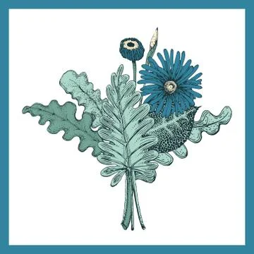 Hand drawn vector botany illustration Stock Illustration