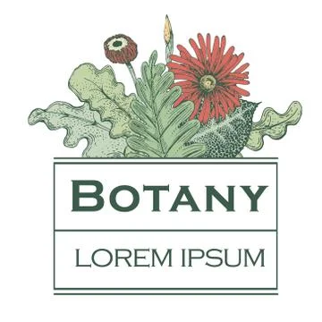 Hand drawn vector botany illustration. Logo template Illustrazione stock