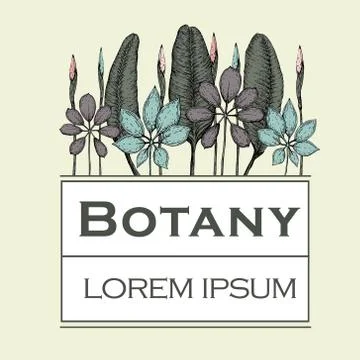 Hand drawn vector botany illustration. Vintage background Stock Illustration