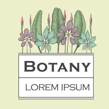 Hand drawn vector botany illustration. Vintage background Stock Illustration