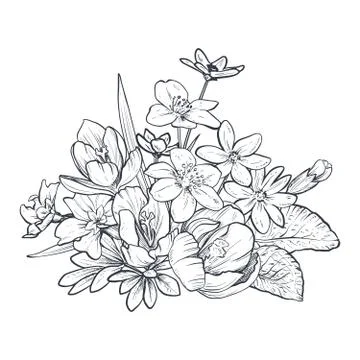 Hand drawn vector bouquet of spring flowers and leaves on white background Stock Illustration
