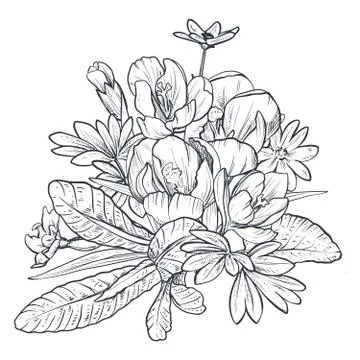 Hand drawn vector bouquet of spring flowers and leaves on white background Stock Illustration