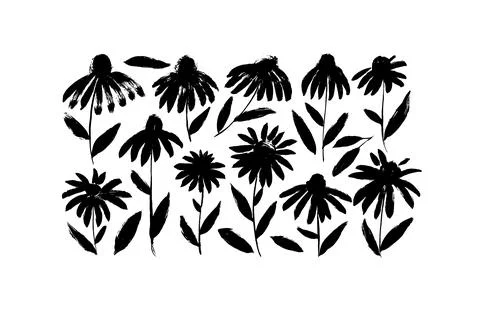 Hand drawn vector chamomiles brush painted flowers Stock Illustration