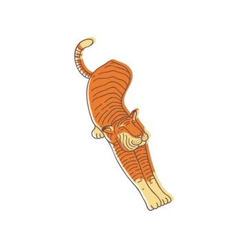 Hand drawn vector design of cute tiger in stretching pose. Isolated large wild Stock Illustration