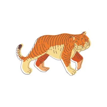Hand drawn vector design of walking tiger, side view. Large wild cat with orange Illustration