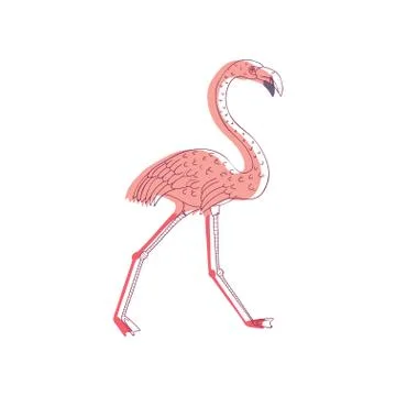 Hand drawn vector design of walking pink flamingo, side view. Exotic bird with 스톡 일러스트